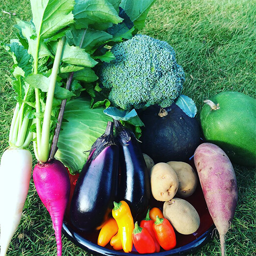 ベジLIFEの彩野菜