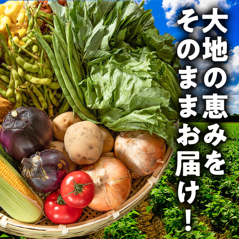 カネマツ　大地の恵み