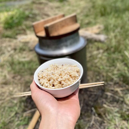 自然栽培玄米 希少品種　高波動米くまみのり 5kg　［2025年産米］