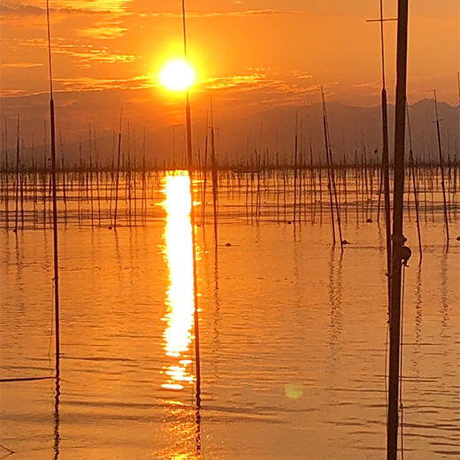 【ばら海苔】【福岡県産】有明の芽吹き【心和水産】15g