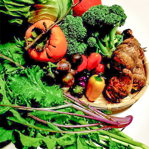 ベジLIFEの彩野菜