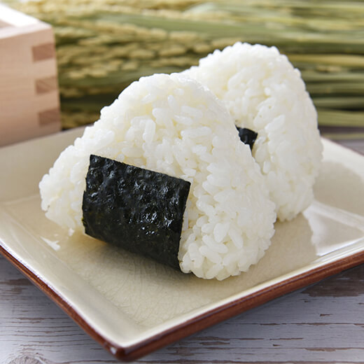 吉備国屋 吉備国米 白米 3kg 岡山県産 残留農薬不検出 バクチャー活用　［2025年産米］