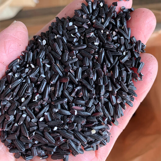 国産 黒米 天照星米(あまてらすほしまい) 福岡県産 200g 古代米 雑穀 無添加