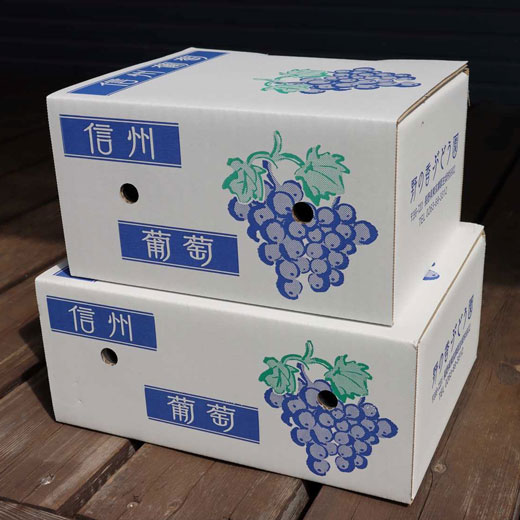 【100箱限定のEOS特別価格！】【8/29まで】野の香　巨峰(種あり)  2kg（4～5房）冷蔵