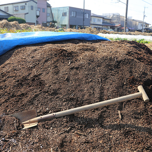 ベジLIFE　畑の様子