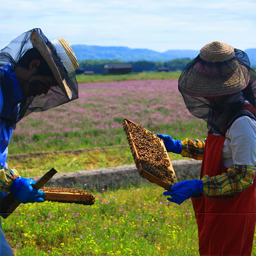 福田養蜂場はちみつ