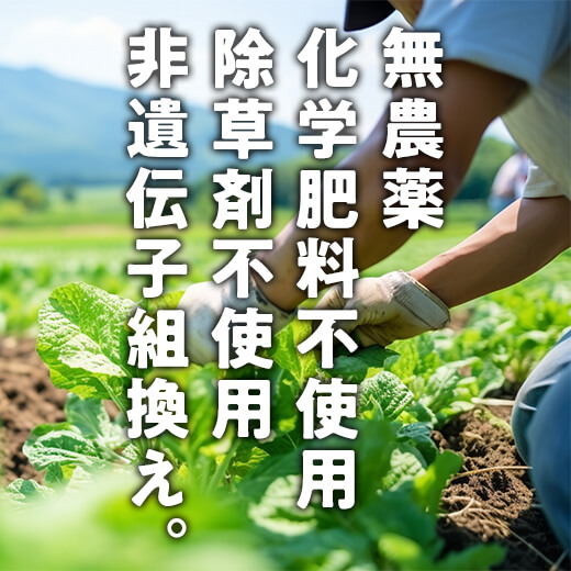 カネマツ　無農薬野菜