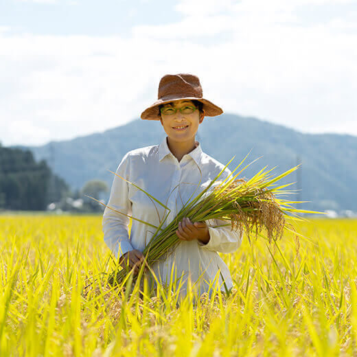 特別栽培米 ピロール農法 コシヒカリ 白米 5kg 福井県産 もうえもん農場　2025年産米
