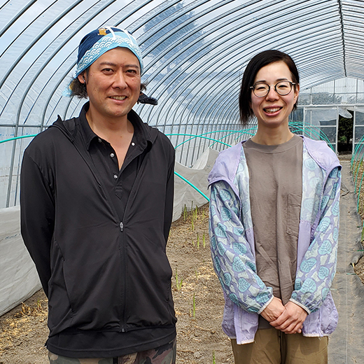 【期間限定5月25日(月)17時まで】北海道の大地が育てた極太アスパラ500g　千葉農園【送料込】