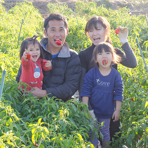 ベジLIFE　畑の様子