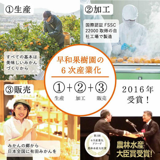 飲むみかん 180ml　100％ストレート