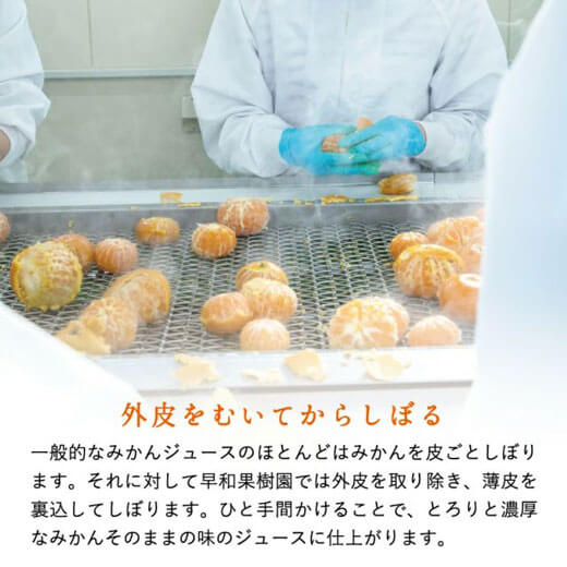 飲むみかん 180ml　100％ストレート