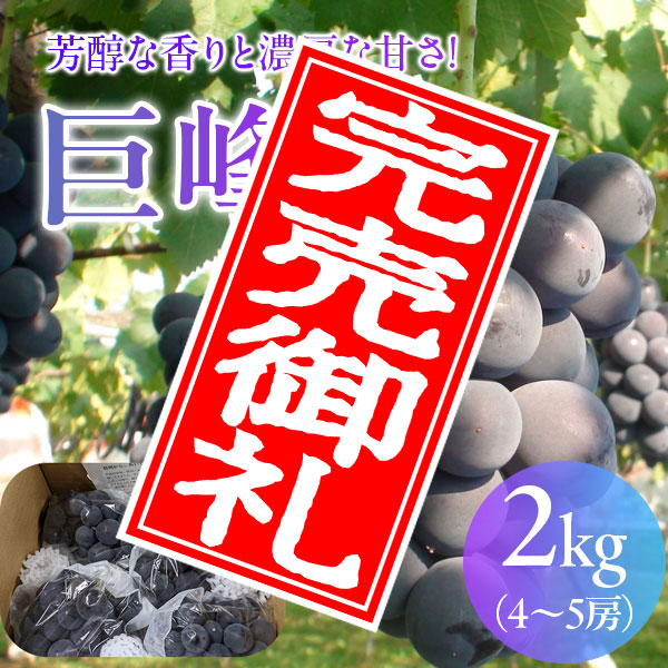 【100箱限定のEOS特別価格！】【8/29まで】野の香　巨峰(種あり)  2kg（4～5房）冷蔵