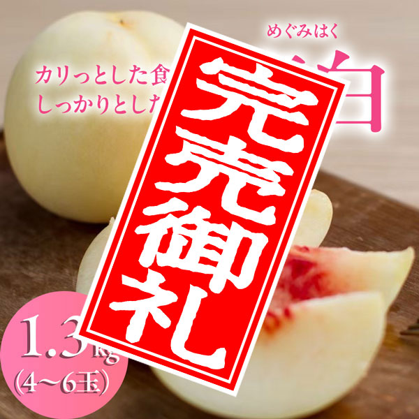 【200箱限定！硬い桃】【8/25  17時まで】犬塚白桃農園　恵白（めぐみはく）  1.3kg（4~6玉入り）クール便