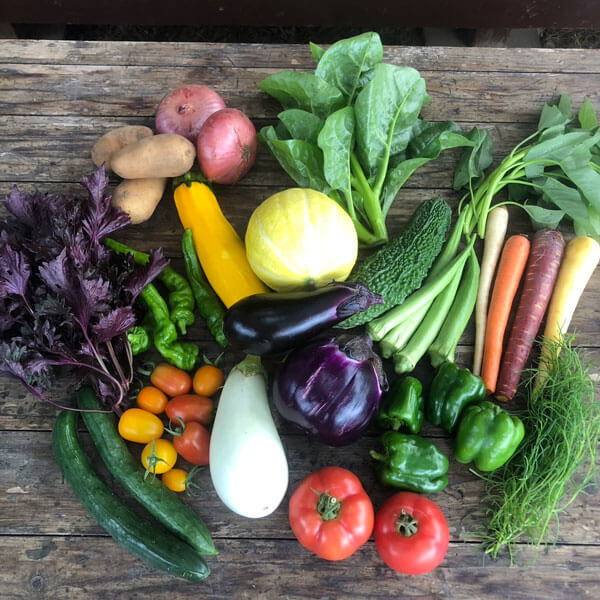 大舘農園　野菜セット