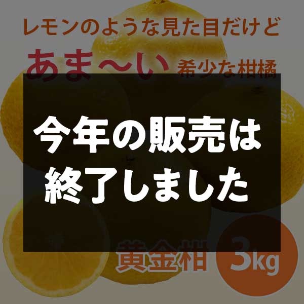 【期間限定3月30日(月)17時まで】黄金柑　ご家庭用（サイズ不揃い）3kg 早和果樹園【送料込】