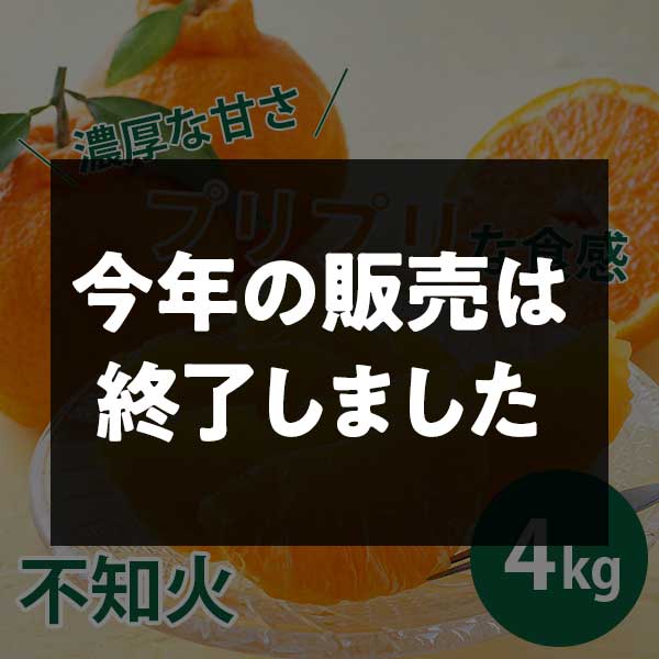【期間限定3月30日(月)17時まで】不知火　ご家庭用（サイズ不揃い）４kg 早和果樹園【送料込】