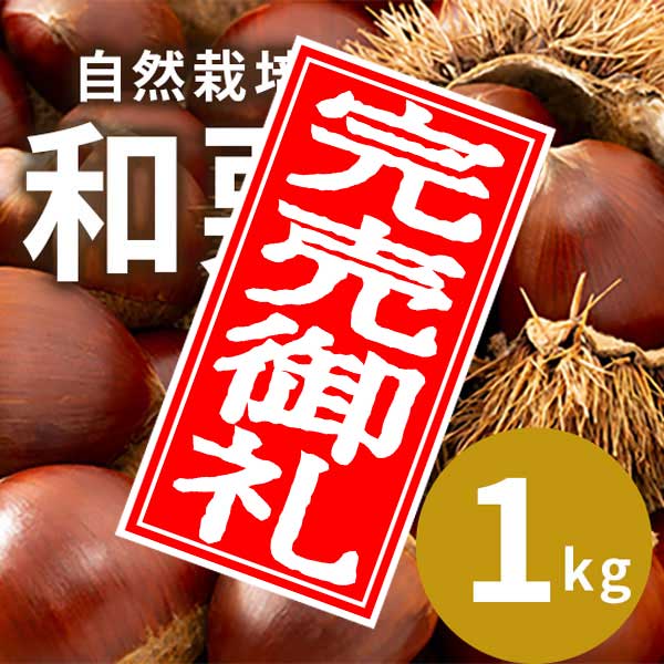 【9/30まで】岐阜県恵那市中野方町の自然栽培和栗 サイズミックス 1kg