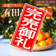 【期間限定12月15日(月)17時まで】有田みかん 3kg 早和果樹園【送料込】