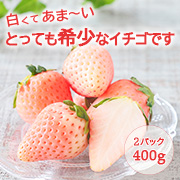 希少な白いちご「淡路島アイランドベリー」淡雪　産直　１箱（2パック 約400g) 送料込 [4/30まで]