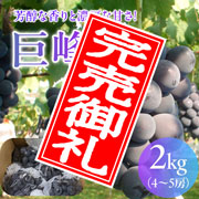 【100箱限定のEOS特別価格!】【8/29まで】野の香 巨峰(種あり) 2kg(4~5房)冷蔵