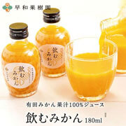 飲むみかん 180ml　100％ストレート