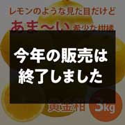 【期間限定3月30日(月)17時まで】黄金柑　ご家庭用（サイズ不揃い）3kg 早和果樹園【送料込】