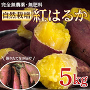 さつまいも（紅はるか）5kg　完全無農薬・無肥料　自然栽培さつまいも　つくば自然農園　農産物コンテスト2部門で日本一に輝いた農園