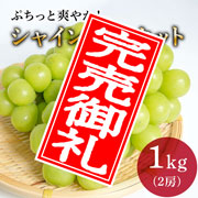 【数量限定のEOS特別価格!】【8/29まで】野の香 シャインマスカット 1kg(2房) 冷蔵