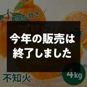 【期間限定3月30日(月)17時まで】不知火　ご家庭用（サイズ不揃い）４kg 早和果樹園【送料込】