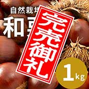 【9/30まで】岐阜県恵那市中野方町の自然栽培和栗 サイズミックス 1kg